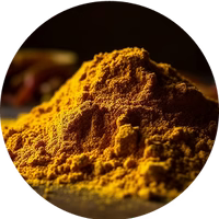 Gurkmeja (Turmeric Longa)