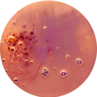 Retinol (vitamin A)